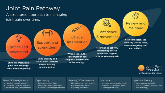 joint pain pathway